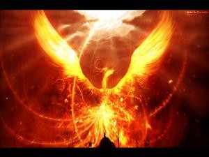 太阳vs雄鹿2026，凤凰涅槃，鹿角峥嵘