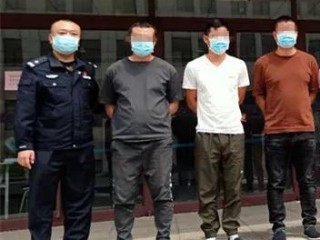 真钱打牌网站的诱惑与风险，一场不可逆的赌博游戏
