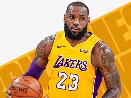 紫金征途，2024-25赛季NBA湖人赛程全解析与看点前瞻