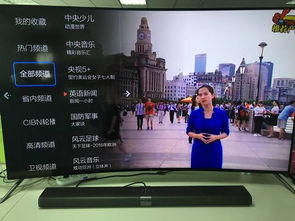 CCTV5在线直播观看,正在直播,体育盛宴触手可及 CCTV5在线直播观看,正在直播,体育盛宴触手可及