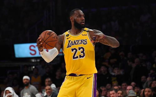 2026年NBA湖人阵容，新老交替中的冠军拼图