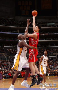 姚明vs加索尔，两大传奇中锋的NBA数据全面对比