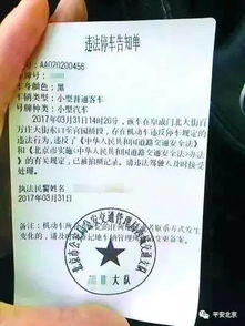 足球红牌是什么？一纸罚单背后的规则与人生