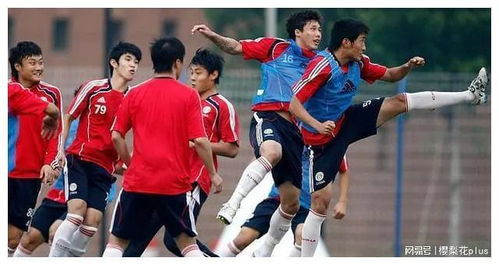 从丙级到世界舞台,日本足球联赛丙级排名背后的崛起密码 从丙级到世界舞台,日本足球联赛丙级排名背后的崛起密码